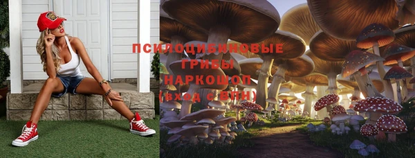 хмурый Надым
